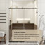 Porte de douche sans cadre avec verre transparent l 60 po x H 74 po