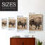 "ANIMALS Series CDXCV III"-1902147106-1902147104