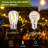 Amruth 15.1M 32 - Bulb Standard String Light (End to End Connectable)