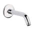 Relexa® 6.63" Tubular Shower Arm and Flange-17107367
