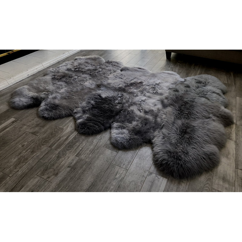 Tapis Novelty Borge, Nouveauté 5 pi 6 po x 8 pi 6 po