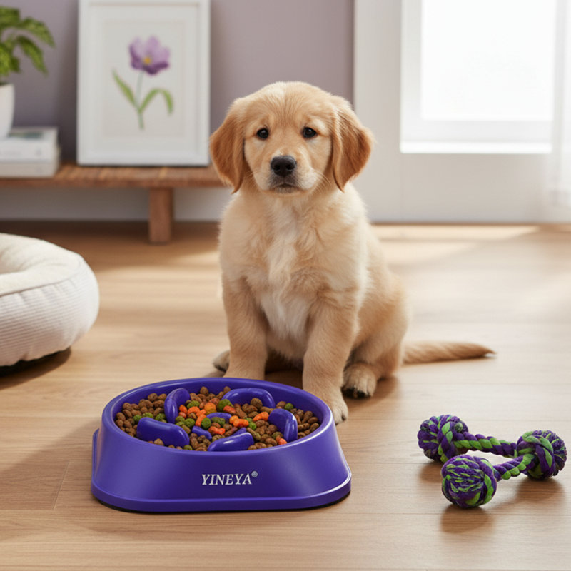 Bol pour chien à alimentation lente, Mauve