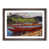 Walnut Framed selected