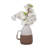Jonetta Ceramic Table Vase