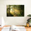 Alvord Forest Road - soleil-107718322