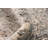 Oriental Indoor Rug-574944633
