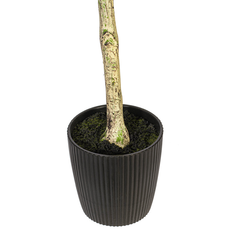 Arbre à fleurs vert olive Vickerman, H 48 po x l 24 po x P 20 po