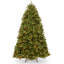 The Holiday Aisle® Newberry Spruce Tree with Dual Color LED Lights-1054227260