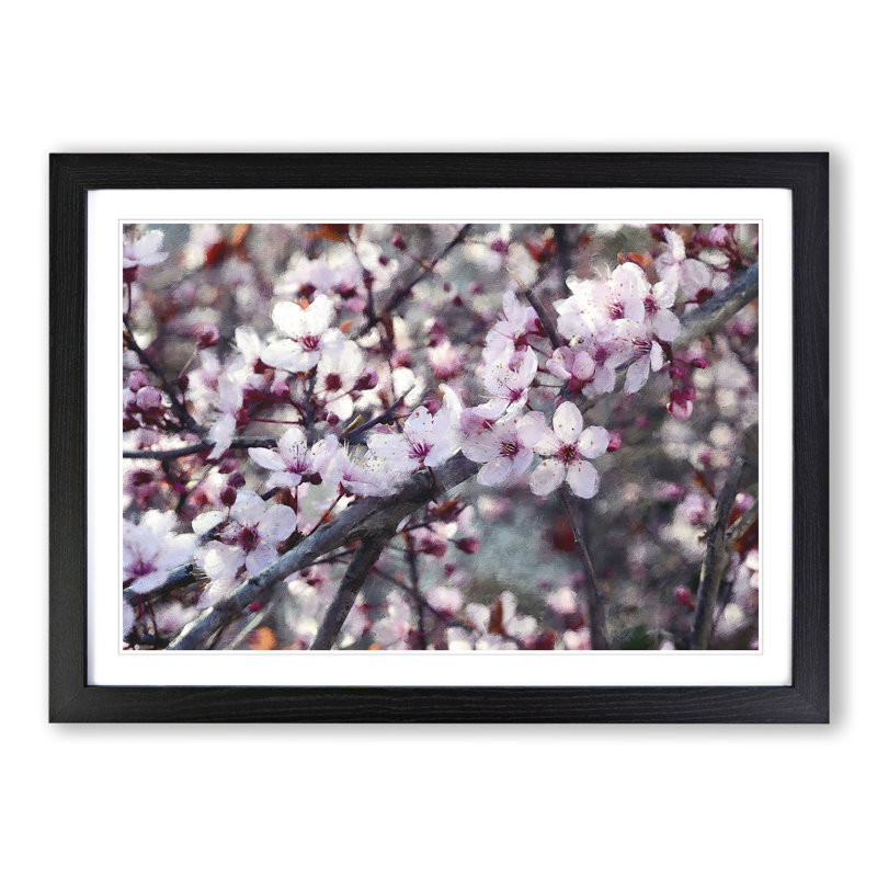 Pink Cherry Blossom Flowers Vol.8 - Framed Print, 27cm H x 36cm W x 2cm D, Black Framed