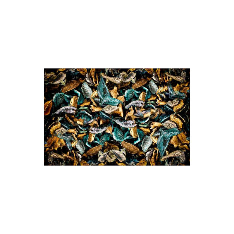 Wrapped Canvas Print, 50.8cm H x 76.2cm W