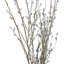 Arrangement