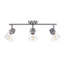 Ensemble de rail d'éclairage 3 lumières Bismark 24 po