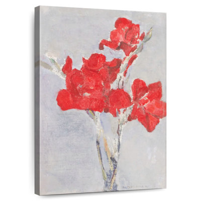 Glaïeuls rouges