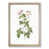 Oak Framed selected