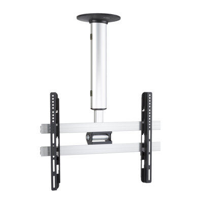 Symple Stuff Single Screen Ceiling Mount