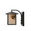 Rustic Lodge 1 - Light Armed Sconce