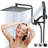 Full/Standard Adjustable Shower Head 2.5 GPM GPM-81882139