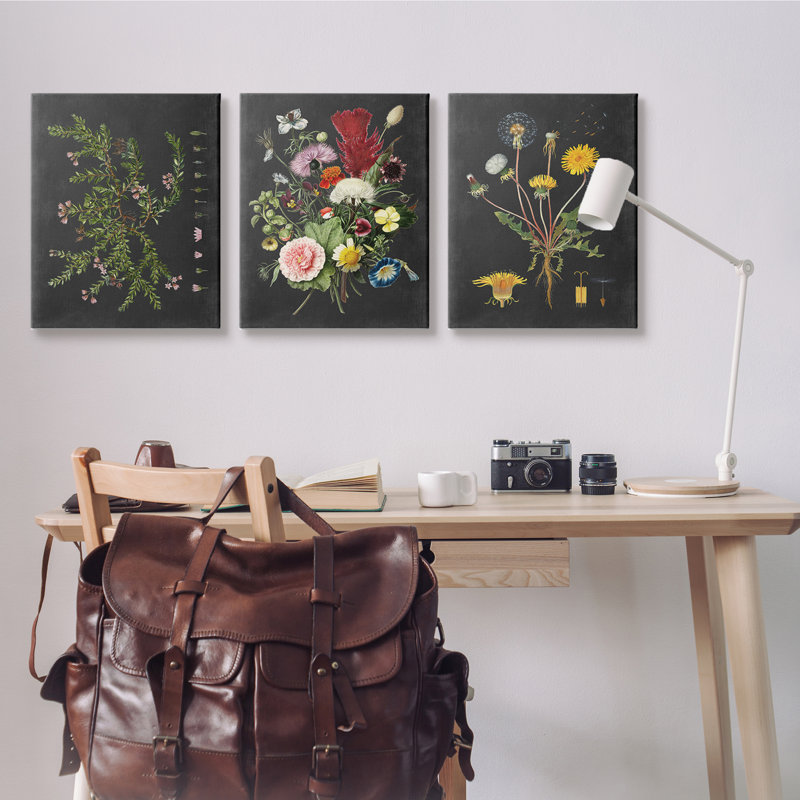 «Botanical Chalkboard Flowers Illustration», ensemble de 3 impressions, Toile tendue, H 30 po x l 24 po