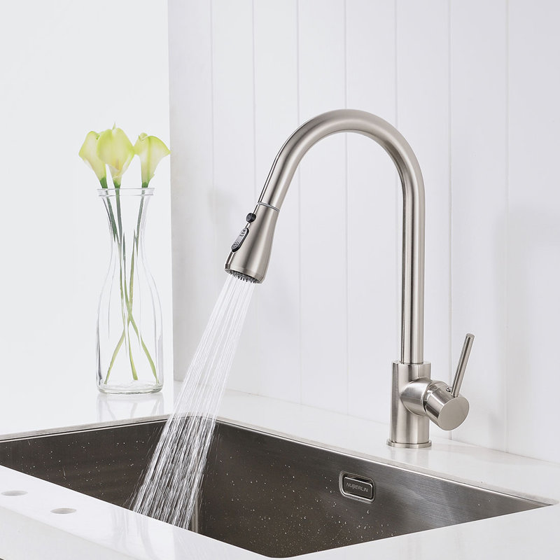 FLG Pull Out Kitchen Faucet