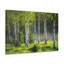 No Frame Print on Canvas-1143165871