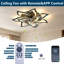 Ventilateur de plafond 32 po