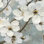 «Cherry Blossoms III Blue» par James Wiens - reproduction d'art sur toile tendue