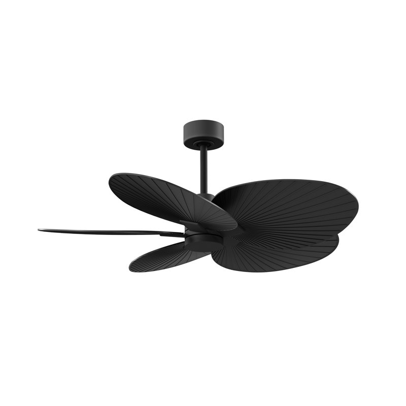 Alessandra - Five Blade Ceiling Fan, Matte Black, Matte Black