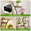 Plant Stand