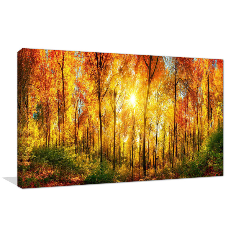« golden forest », reproduction de photo sur toile tendue, H 28 po x l 48 po x P 1,5 po