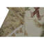 Hand Knotted Wool Area Rug