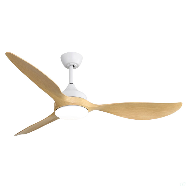 Ventilateur de plafond moderne 56 pouces à DEL à intensité variable et moteur à courant continu silencieux et réversible pour l'intérieur et l'extérieur