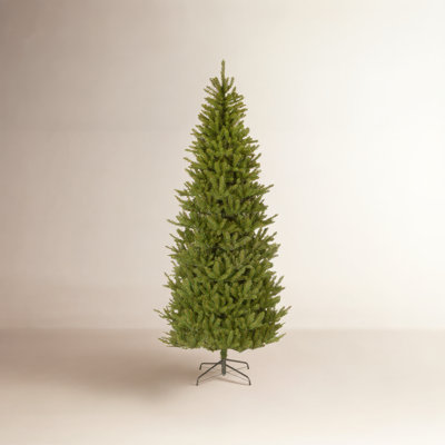 Fraser Fir Christmas Tree