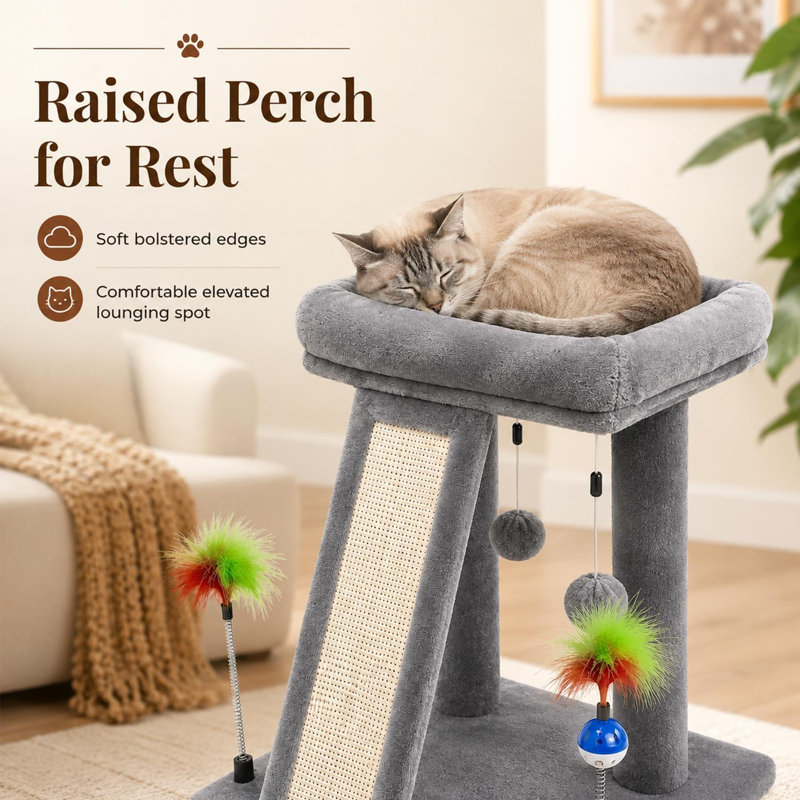 Clear Pet