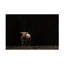  Art mural sur toile Nathan Larson-101102084