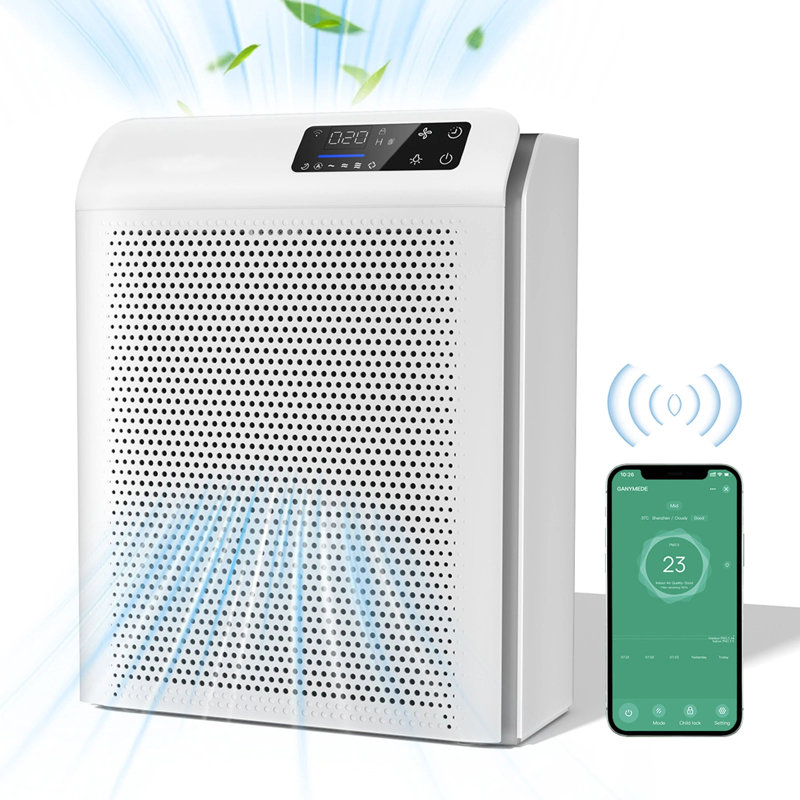 Purificateur d'air Teendow Smart avec filtre H13 Hepa, contrôle de l'application, jusqu'à 2200 pieds carrés