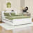 Queen Wooden Platform Bed with LED and Trundle and 2 Drawers-756622846
