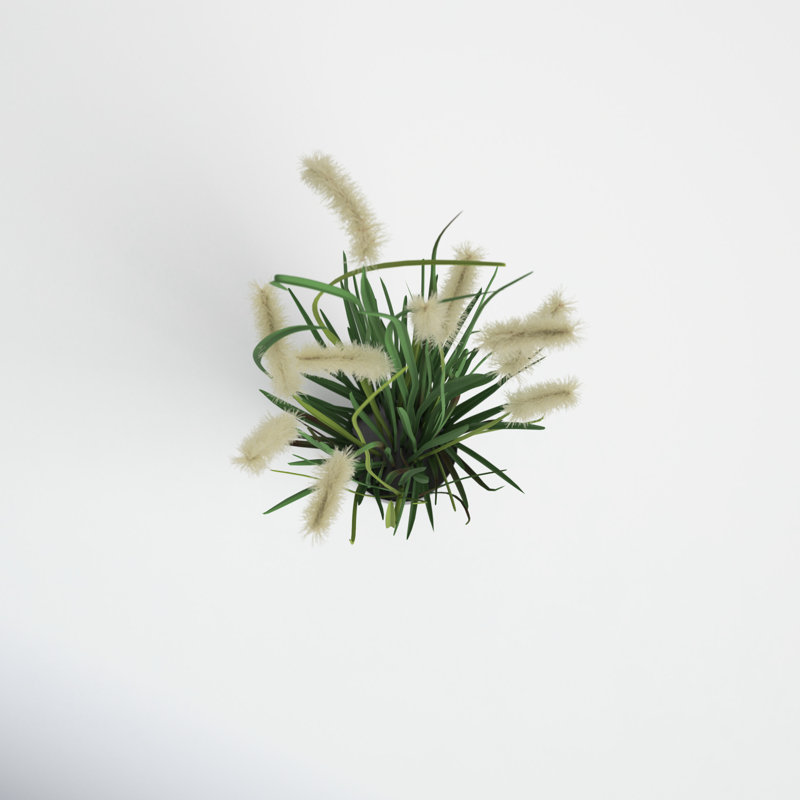 Faux Dogtail Grass in Pot, 38" H x 10" W x 10" D