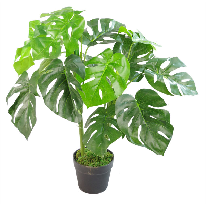 Faux Plant in Pot Liner, 80cm H x 60cm W x 60cm D