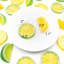Simulation de tranches de citron artificielles Margarita-1842143658