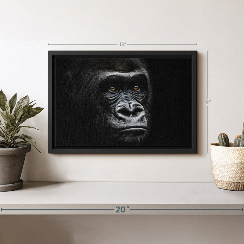 Animal "Portrait de gorille en gros plan", H 9 po x l 13 po
