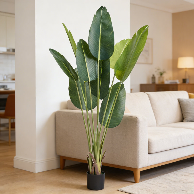 60 plantes