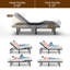 Base de lit réglable massante avec zéro gravité et télécommande sans fil-1224022409