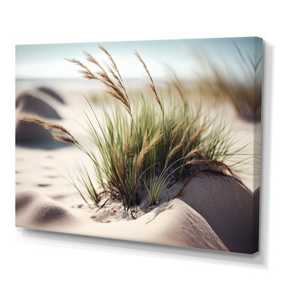 " Grass On Sand Dunes II "