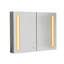 40In. W X 30 In. H LED Large Rectangular Aluminum Alloy Surface Mount Medicine Cabinet With Mirror