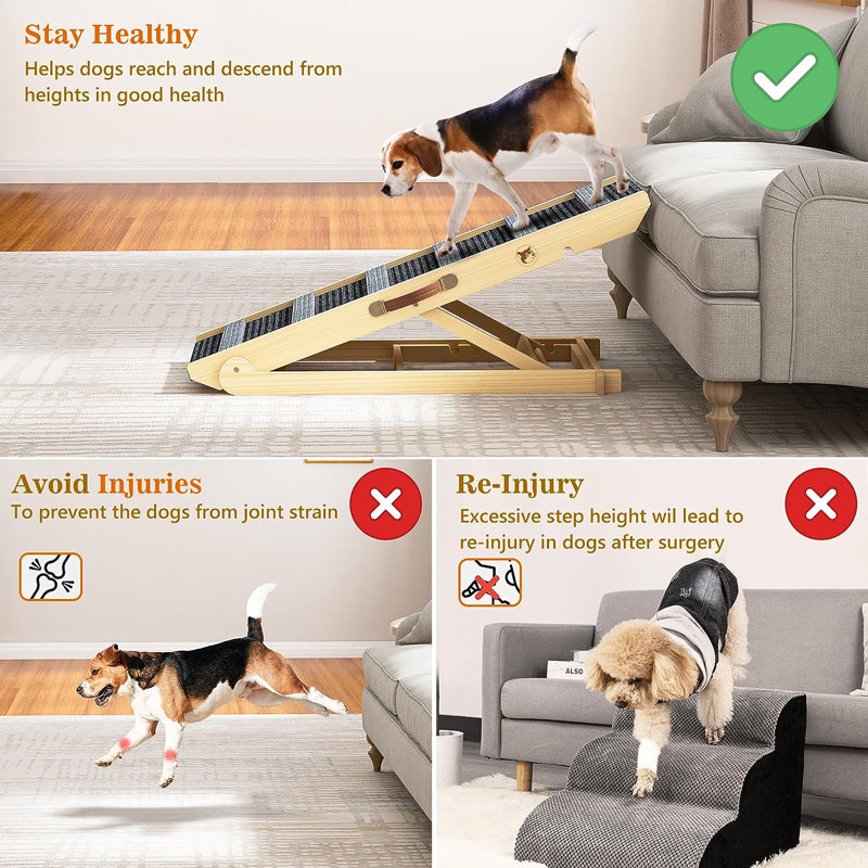 Rampe pour chien en bois