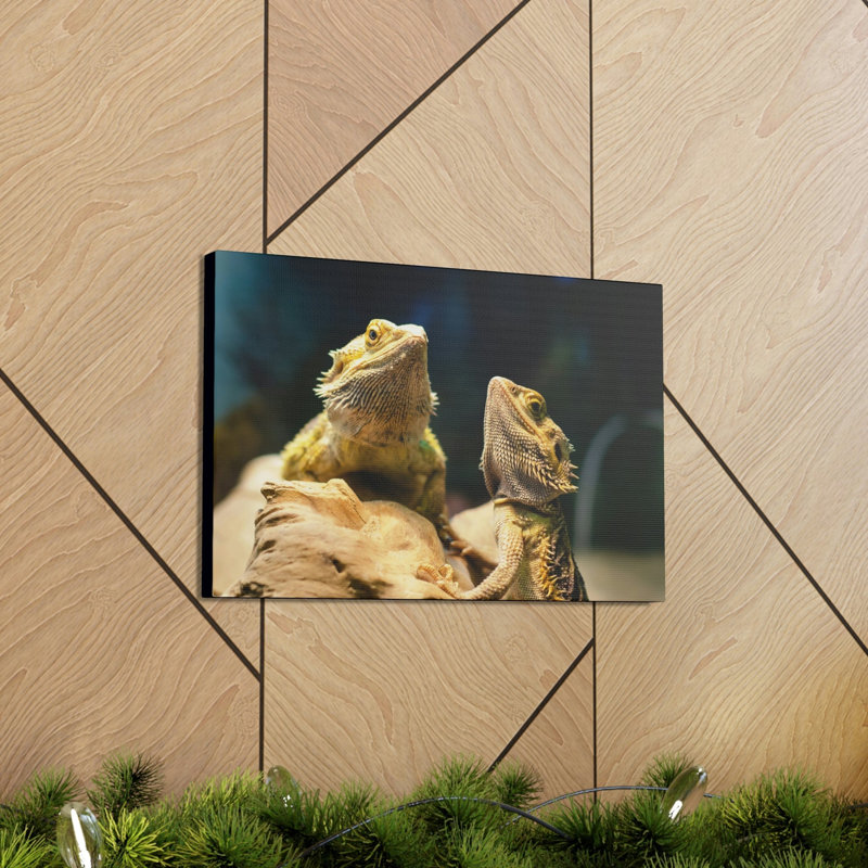 No Frame Print on Canvas, 27.94cm H x 35.56cm W