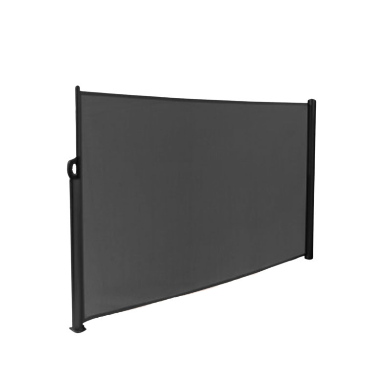 Auvent latéral rétractable l 118 po x P 4 po gris anthracite