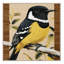  Tapis lavable Honeyeat-1440812564