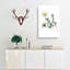 Mount Atlas Daisy Illustration - Wrapped Canvas-55363117