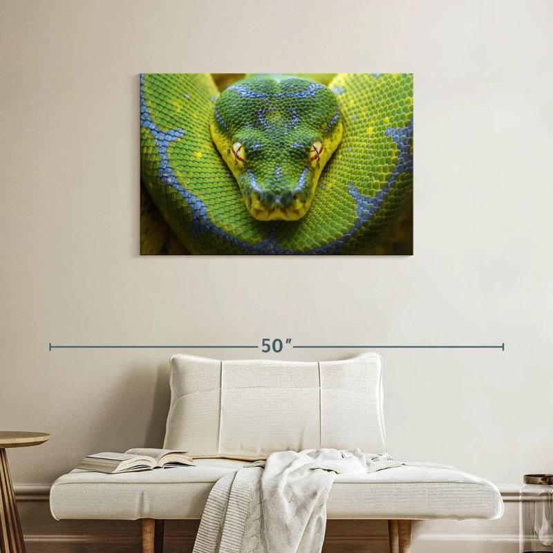 Brampt Fierce Green Tree Python, 24" H x 36" W